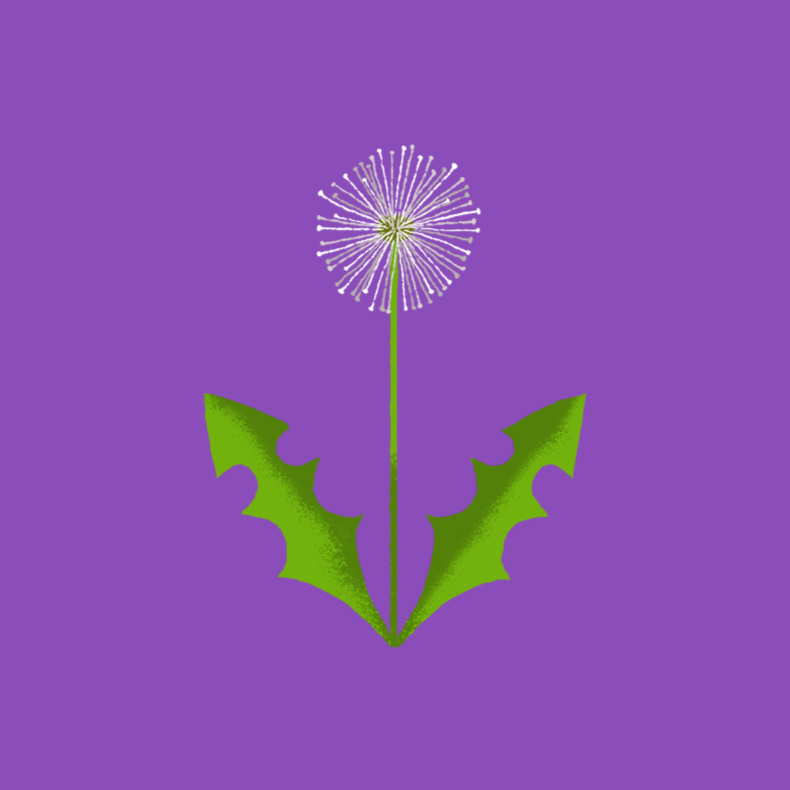 YSWishes 5 twin