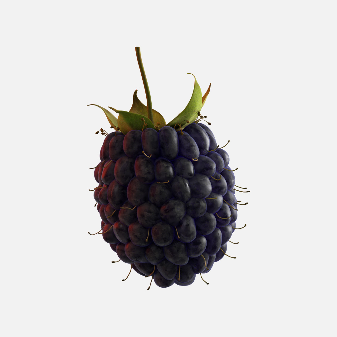 Anacail Renders 2 twin