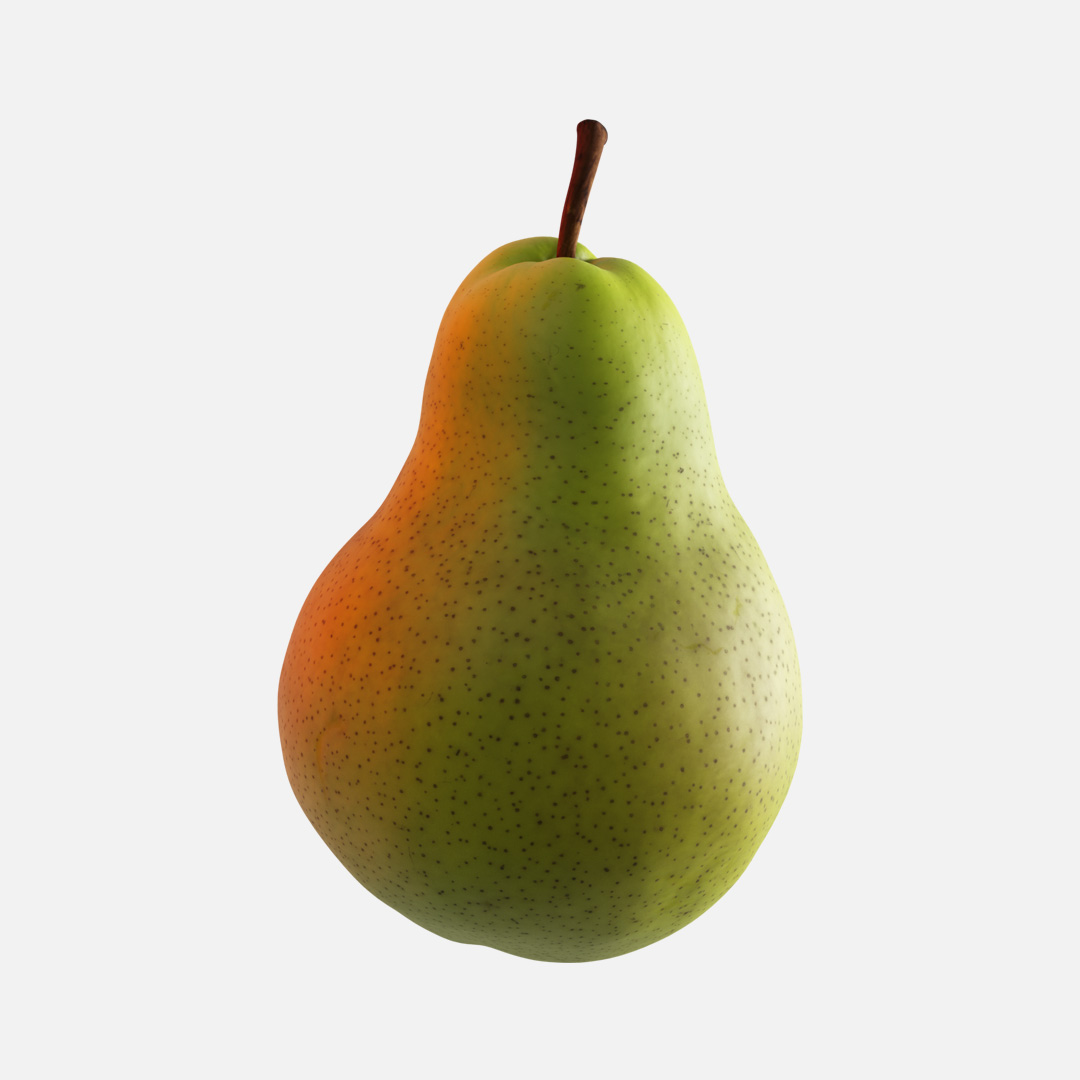 Anacail Renders 3 twin