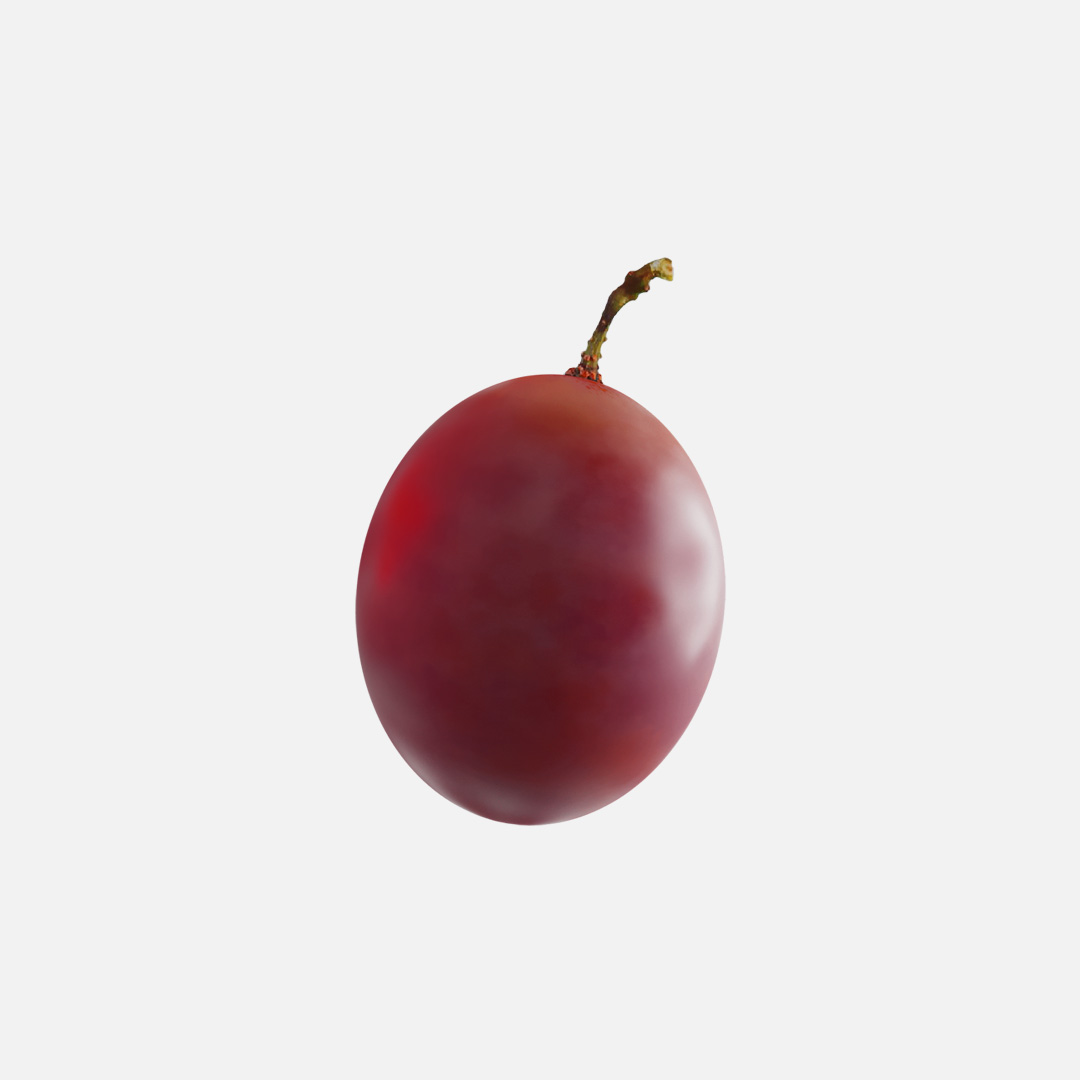 Anacail Renders 4 twin