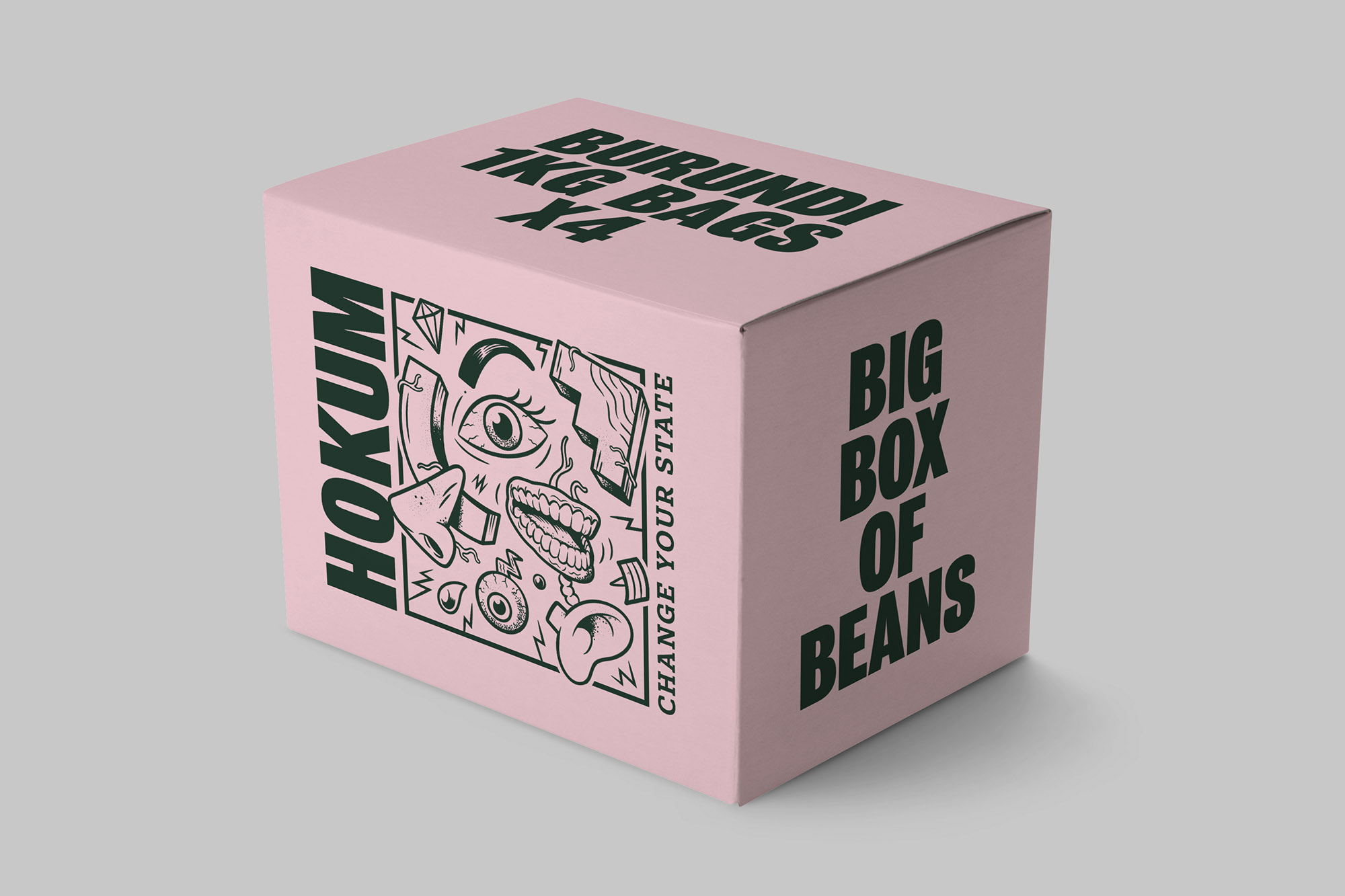 HOK 01 Render Static 5 twin